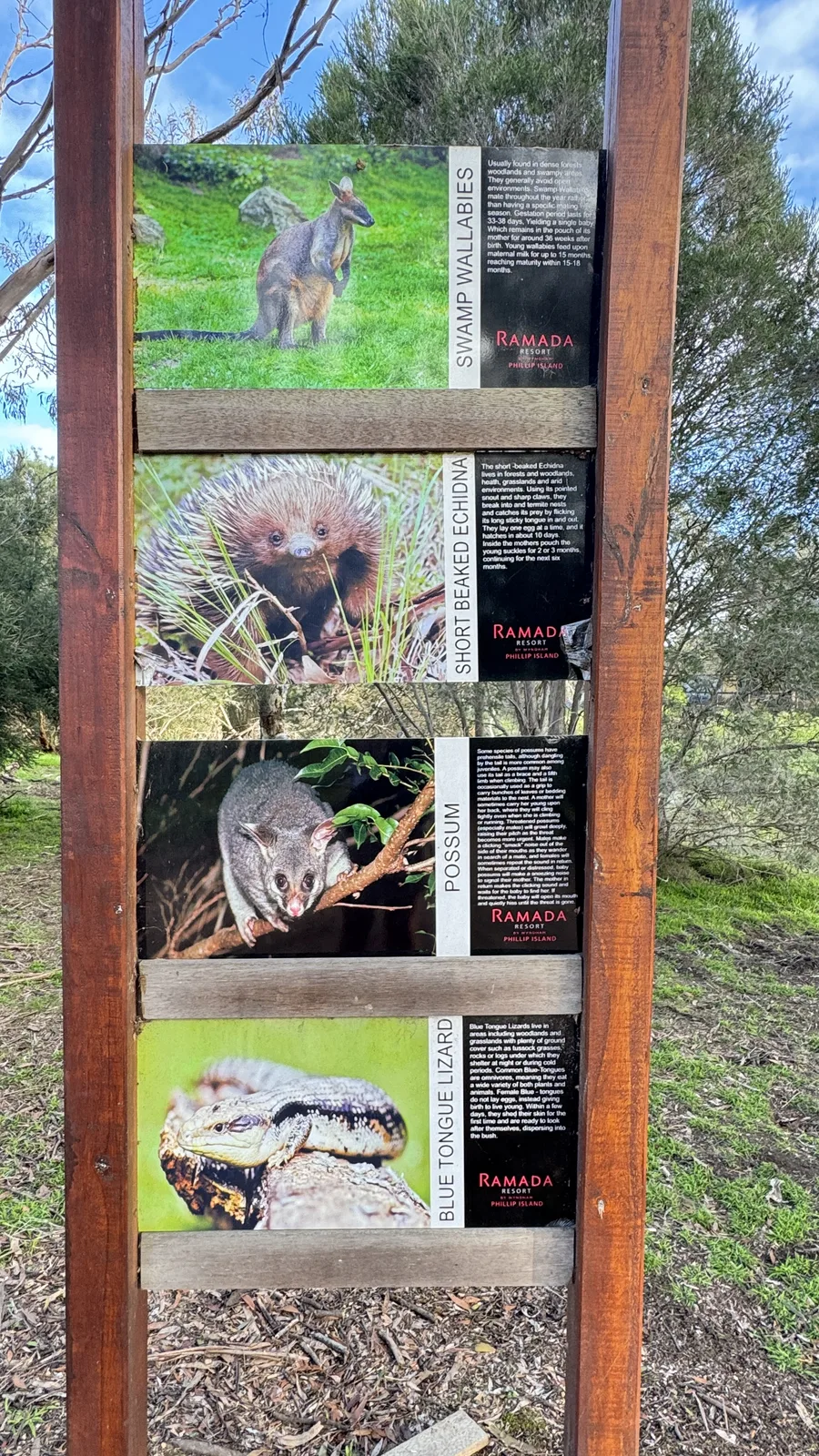 Nature and wildlife information display at the resort