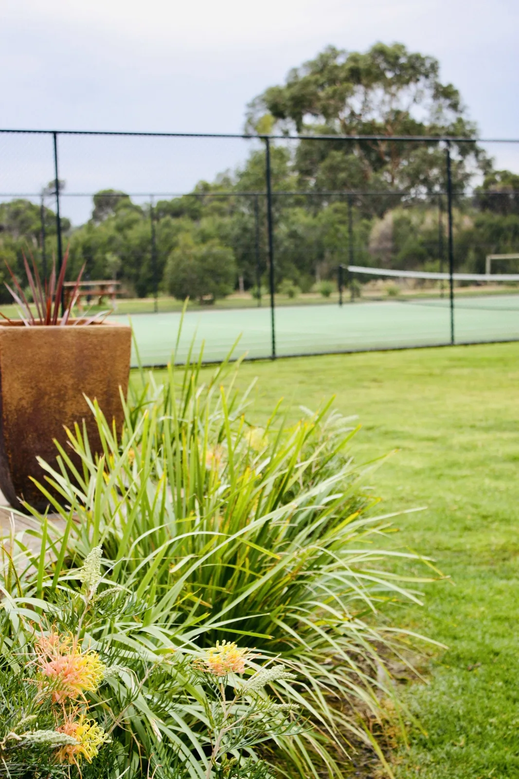 Flowering native plants and lawns beside the resort tennis court