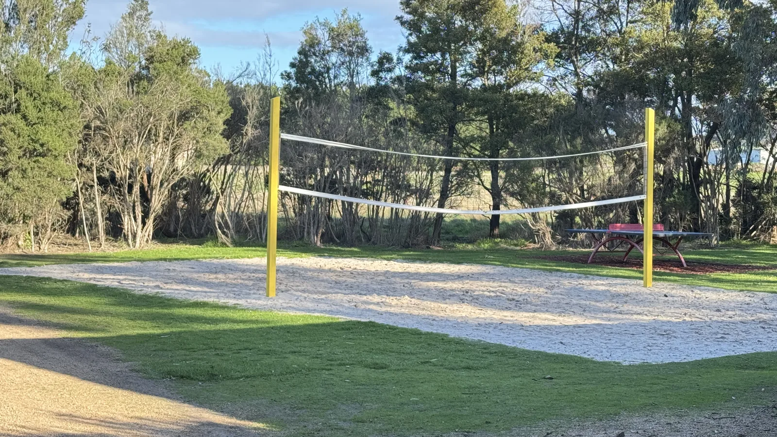 Outdoor sand volleyball court beside native trees and a picnic table